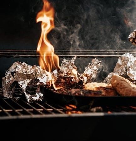 brinkmann smoke n grill owner’s manual