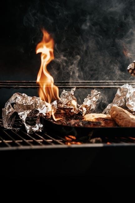 brinkmann smoke n grill owner’s manual