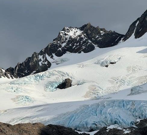 patagonia alpine guide pants