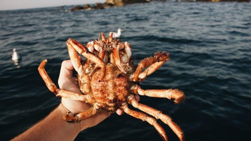 saltwater fishing guide