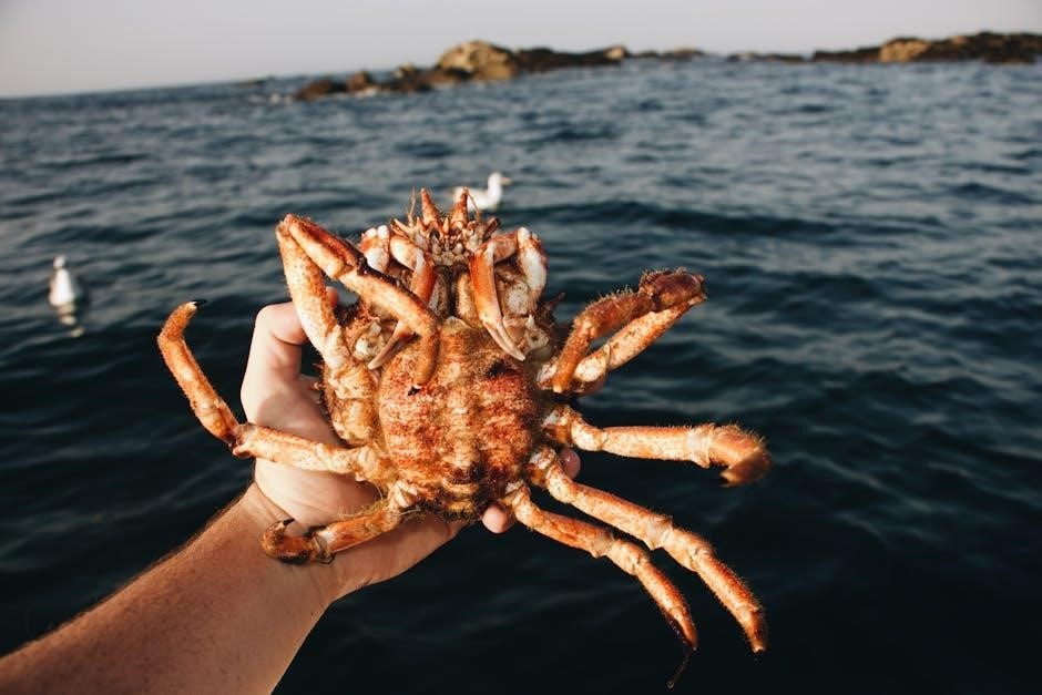 saltwater fishing guide