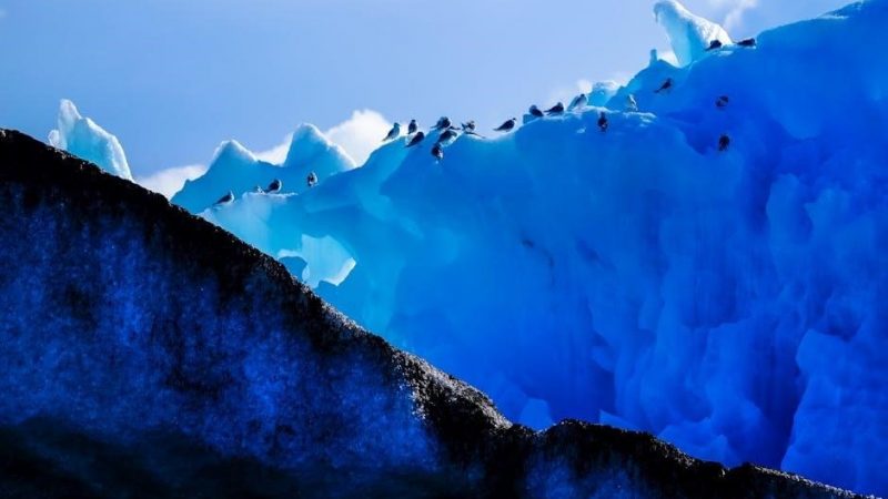 arctic air pure chill 2.0 manual