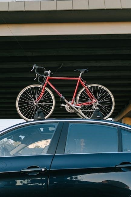 allen bicycle rack instructions