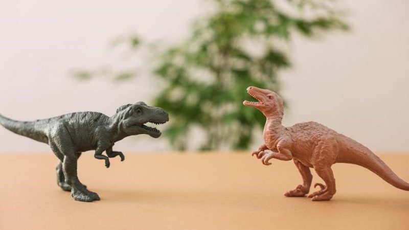 dino dana dino field guide