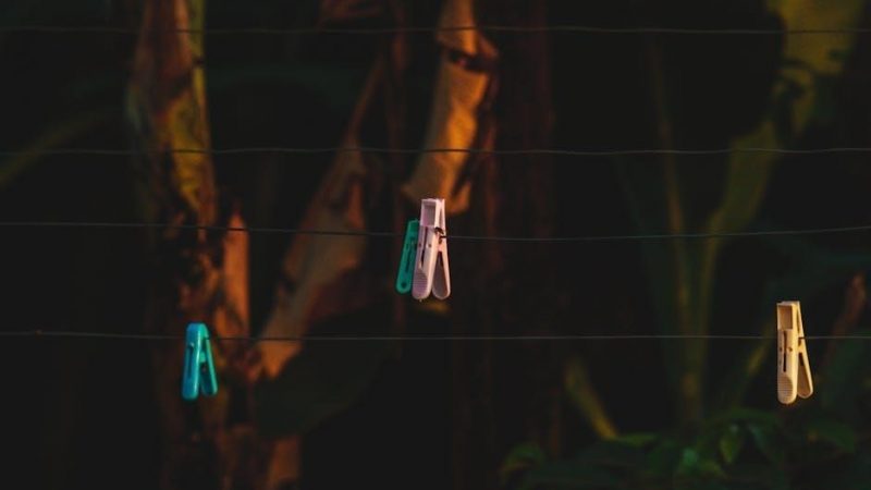 pegs term dates 2024 victoria pdf