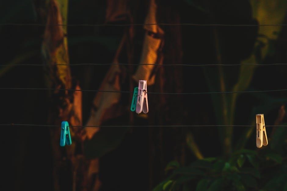 pegs term dates 2024 victoria pdf